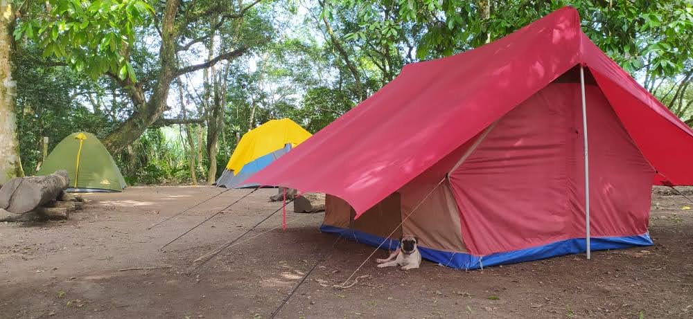 <h6>Camping</h6>